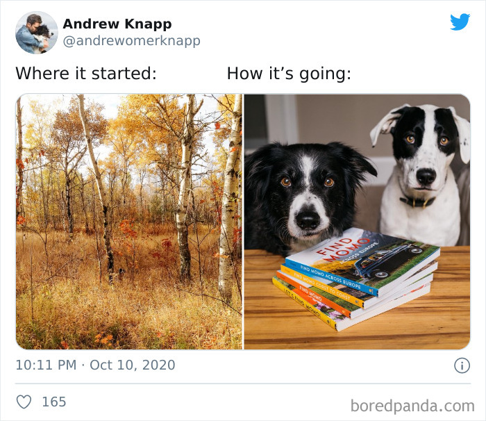 How-It-Started-Ended-Pets