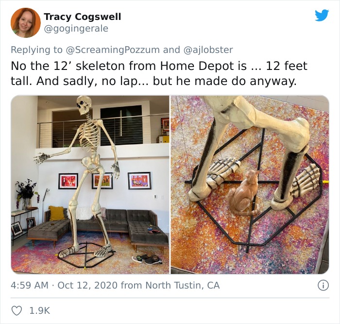 Woman Finds Out And Posts Pictures Of How Cats Would React If You Suddenly Died At Home Woman Finds Out And Posts Pictures Of How Cats Would React If You Suddenly Died At Home