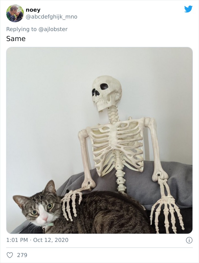 Woman Finds Out And Posts Pictures Of How Cats Would React If You Suddenly Died At Home