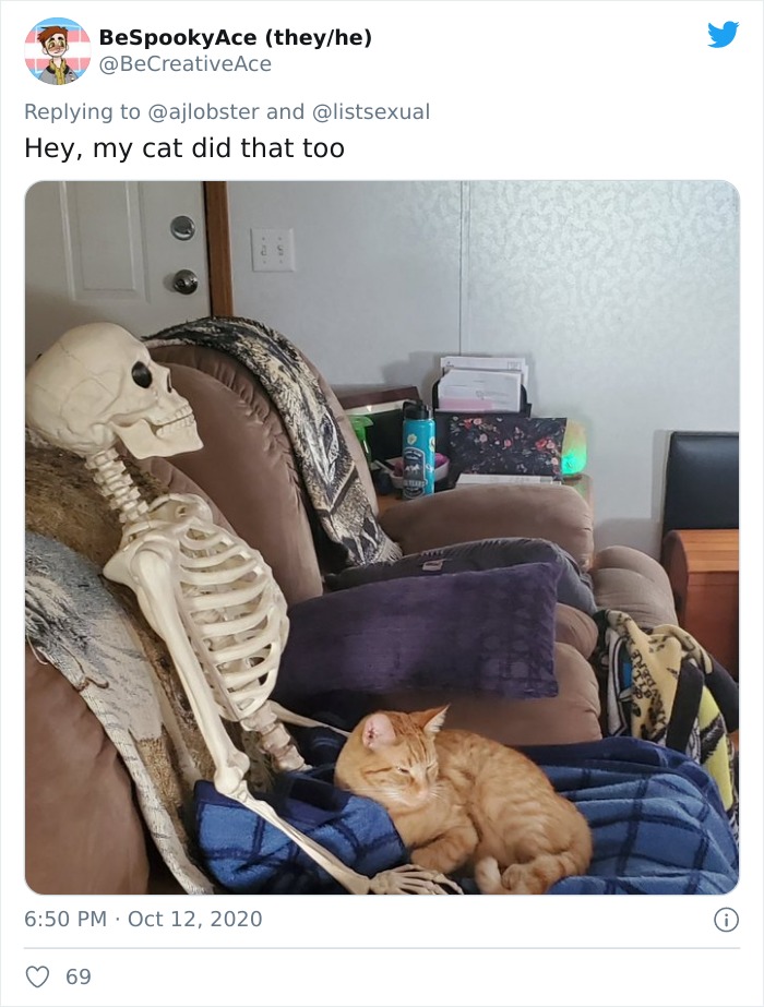 Woman Finds Out And Posts Pictures Of How Cats Would React If You Suddenly Died At Home Woman Finds Out And Posts Pictures Of How Cats Would React If You Suddenly Died At Home