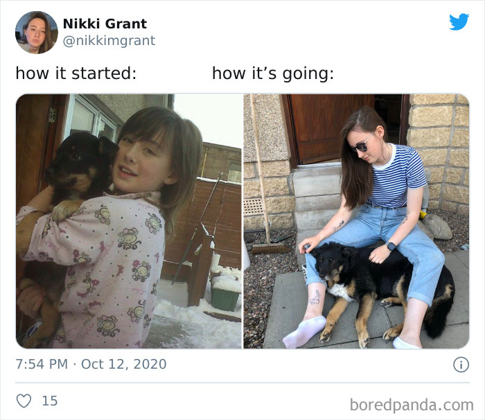 How-It-Started-Ended-Pets