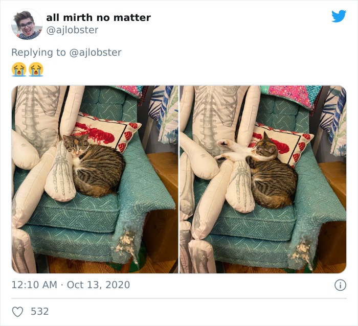 Woman Finds Out And Posts Pictures Of How Cats Would React If You Suddenly Died At Home Woman Finds Out And Posts Pictures Of How Cats Would React If You Suddenly Died At Home