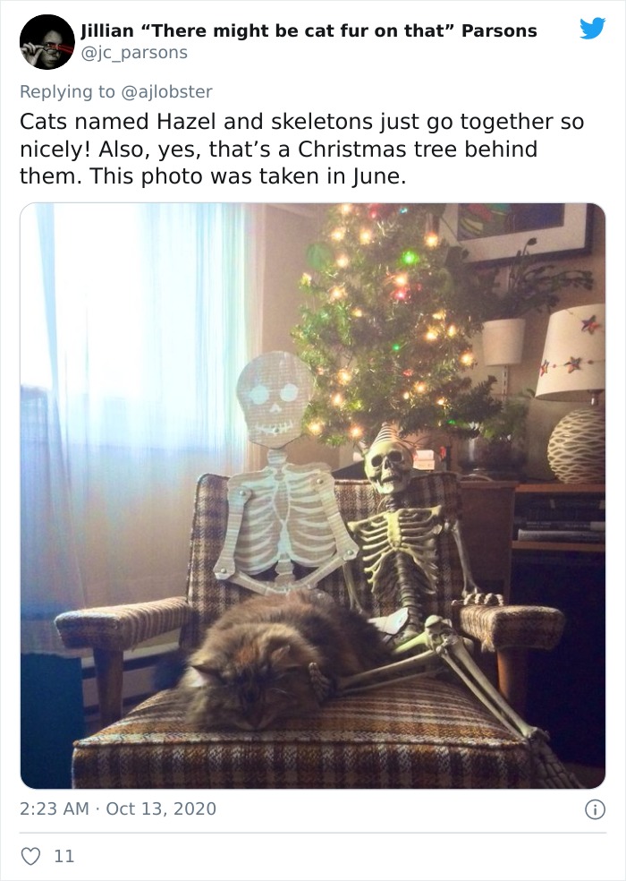 Woman Finds Out And Posts Pictures Of How Cats Would React If You Suddenly Died At Home Woman Finds Out And Posts Pictures Of How Cats Would React If You Suddenly Died At Home