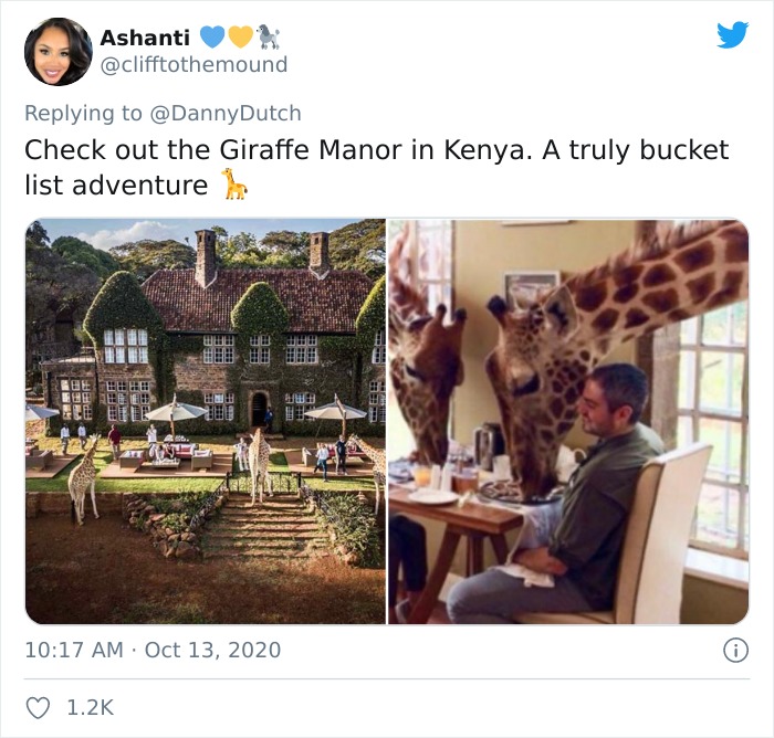 Apparently, Giraffes Have To Splay Their Legs Wide Apart In Order To Munch On Grass, And The Video Of It Is Going Viral Apparently, Giraffes Have To Splay Their Legs Wide Apart In Order To Munch On Grass, And The Video Of It Is Going Viral