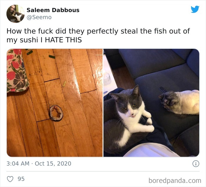 How The Hell Did They Perfectly Steal The Fish Out Of My Sushi I Hate This
