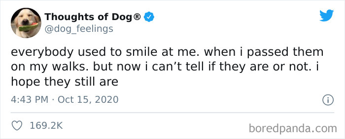 Hilarious-Dog-Thoughts-Tweets