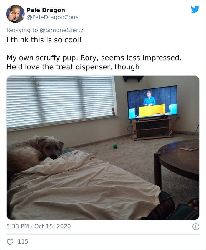 Woman Builds A Photo Booth That Lets Her Dog Take Selfies For Treats, And Over 230K People On Twitter Are Obsessed