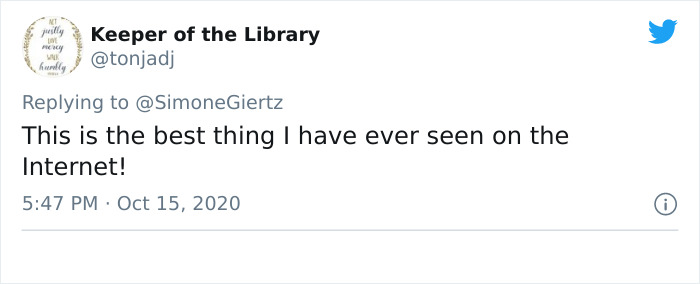 Woman Builds A Photo Booth That Lets Her Dog Take Selfies For Treats, And Over 230K People On Twitter Are Obsessed