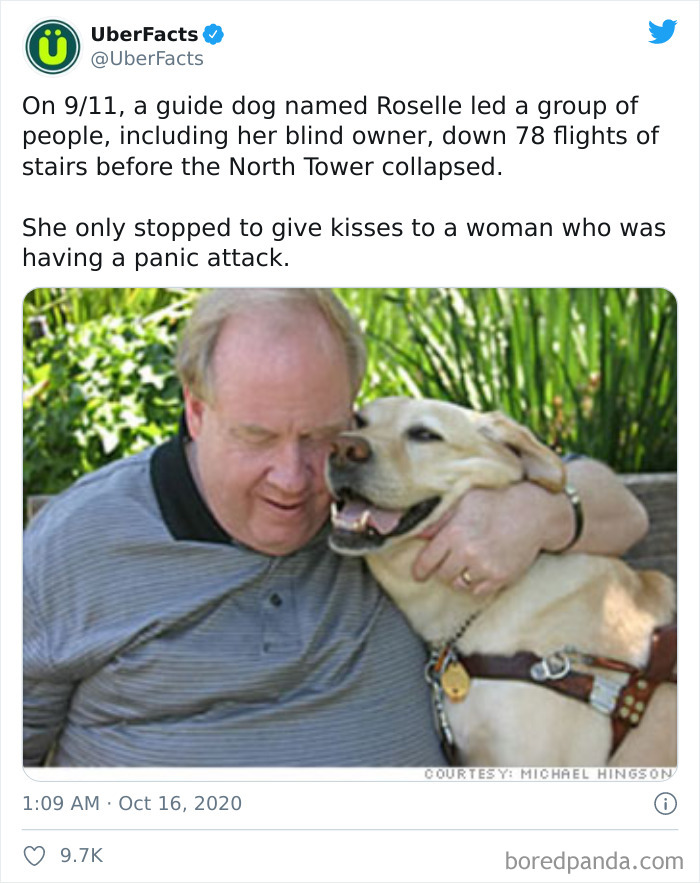 Interesting-Uber-Facts