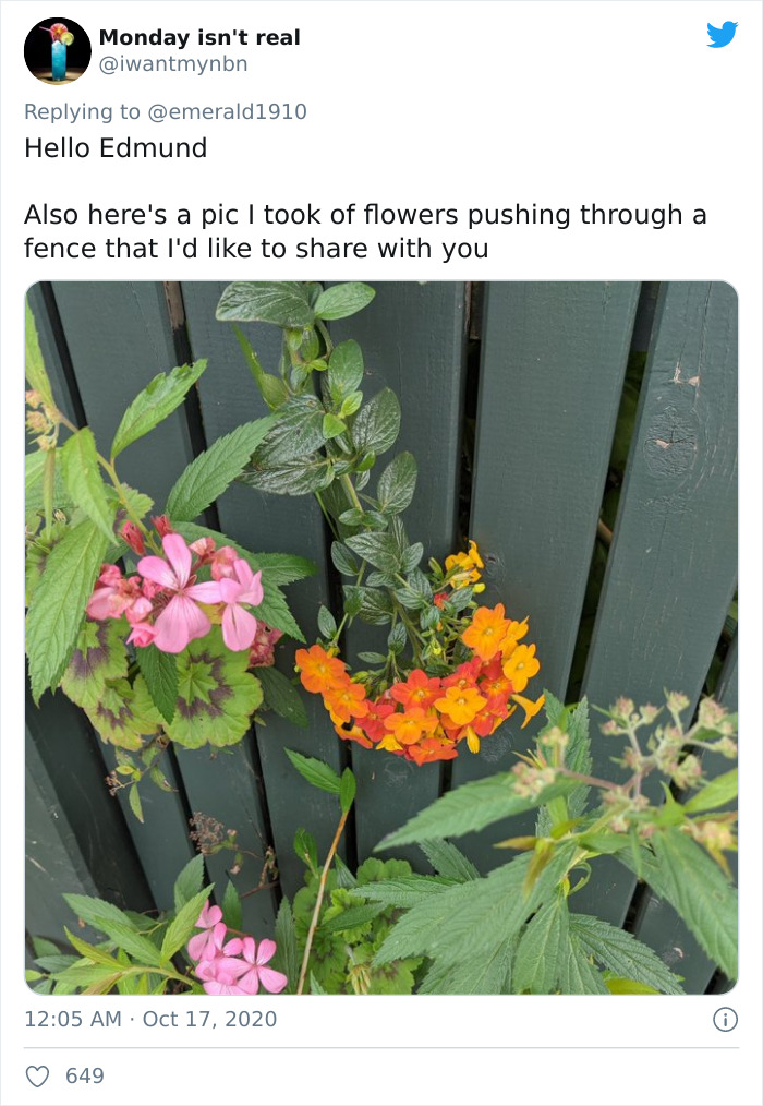 Man Gets Overwhelming Support From People All Over The World After Tweeting 'I'm Not OK' Man Gets Overwhelming Support From People All Over The World After Tweeting 'I'm Not OK'