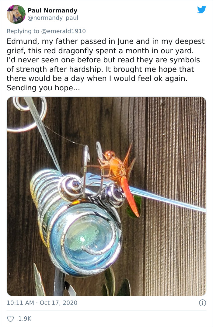 Man Gets Overwhelming Support From People All Over The World After Tweeting 'I'm Not OK' Man Gets Overwhelming Support From People All Over The World After Tweeting 'I'm Not OK'