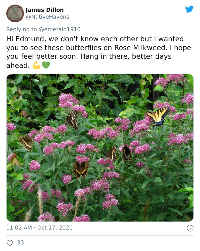 Man Gets Overwhelming Support From People All Over The World After Tweeting 'I'm Not OK' Man Gets Overwhelming Support From People All Over The World After Tweeting 'I'm Not OK'