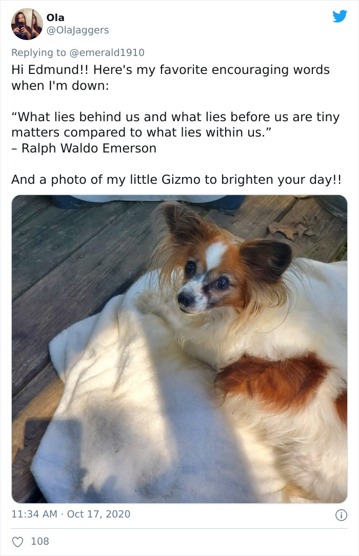 Man Gets Overwhelming Support From People All Over The World After Tweeting 'I'm Not OK' Man Gets Overwhelming Support From People All Over The World After Tweeting 'I'm Not OK'