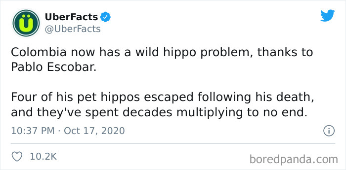 Interesting-Uber-Facts