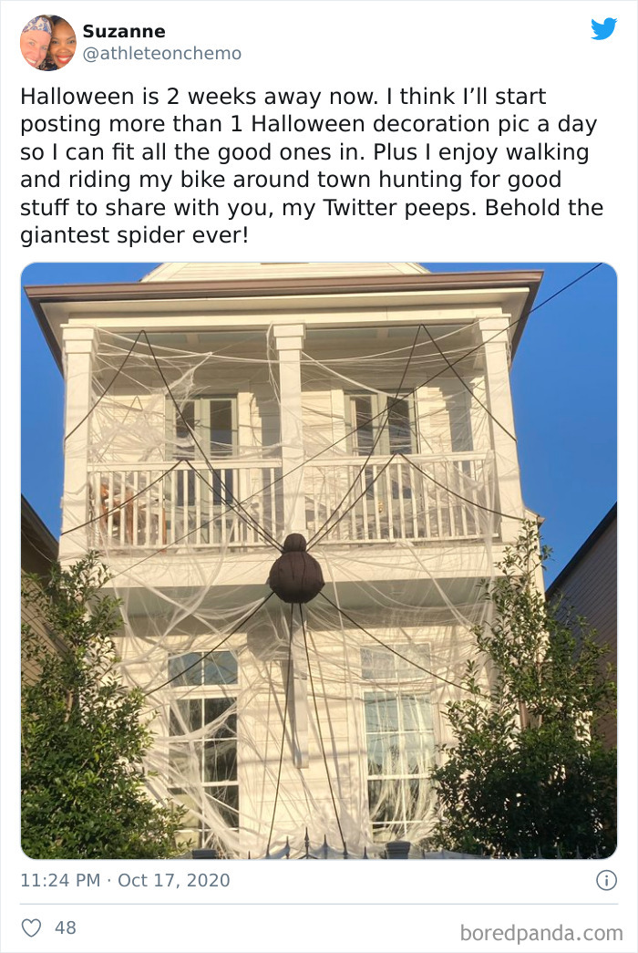 Giant Spider Decoration