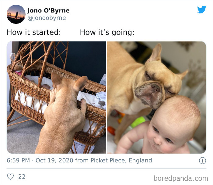 How-It-Started-Ended-Pets