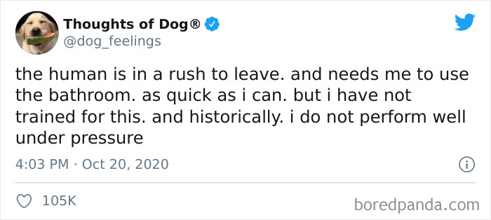 Hilarious-Dog-Thoughts-Tweets