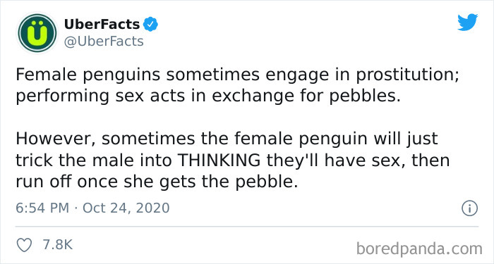 Interesting-Uber-Facts