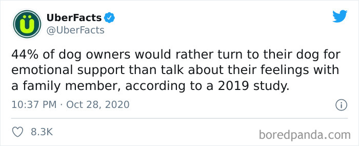 Interesting-Uber-Facts