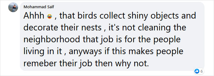 Guy Built A Bird Feeder That Accepts Bottle Caps For Food, And These Wild Magpies Love It