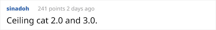 This Shop Owner Installed A Glass Ceiling For His Cats And Now They Won't Stop Staring At Him This Shop Owner Installed A Glass Ceiling For His Cats And Now They Won't Stop Staring At Him