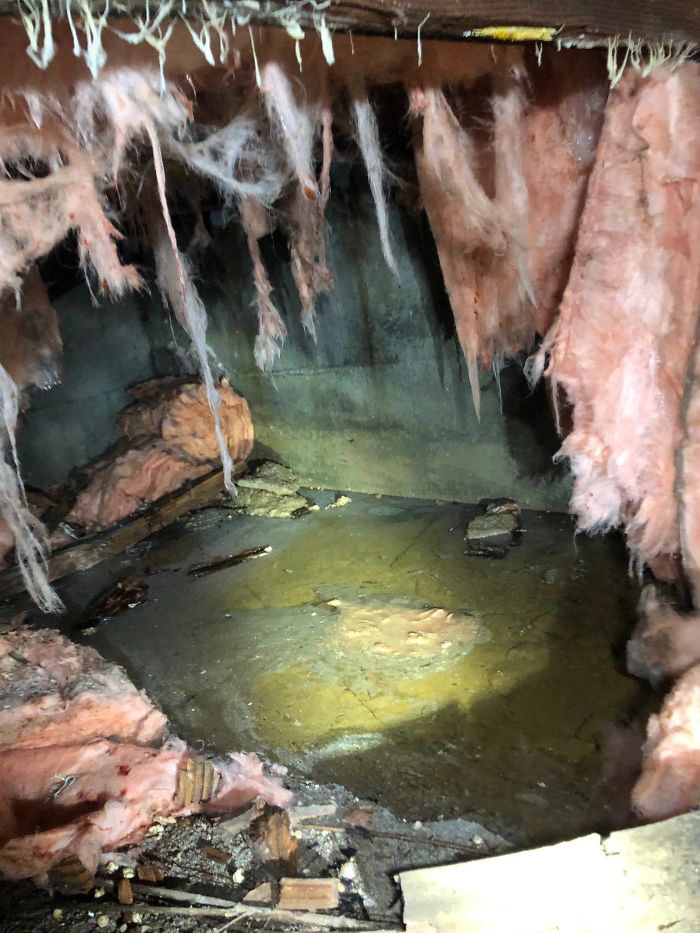 Bizarre-Structural-Inspections