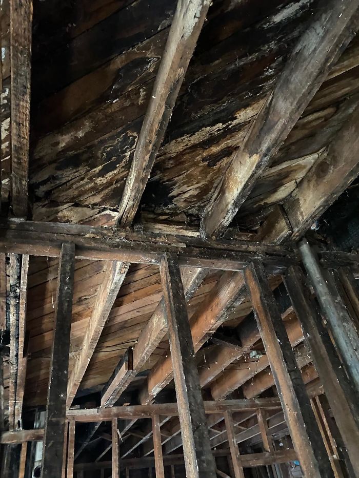 Bizarre-Structural-Inspections