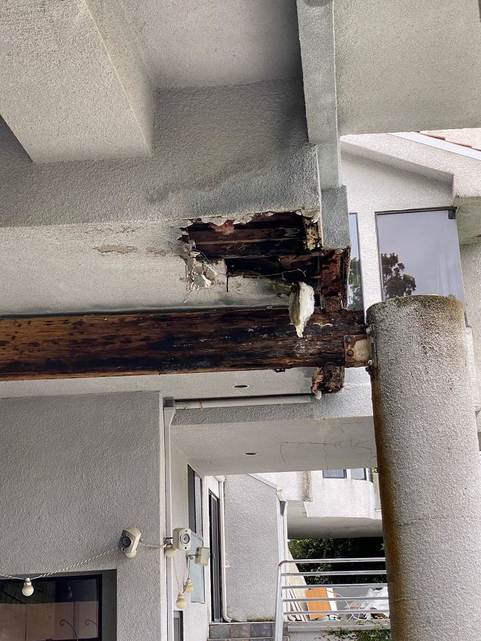 Bizarre-Structural-Inspections