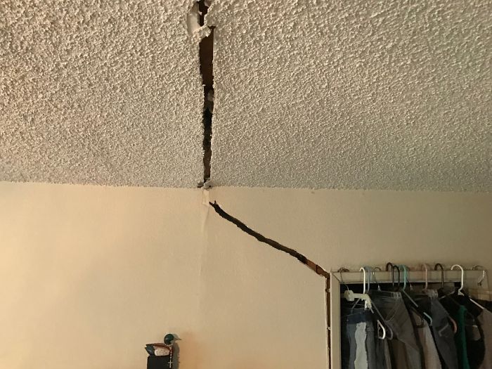 Bizarre-Structural-Inspections