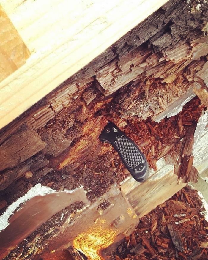 Bizarre-Structural-Inspections