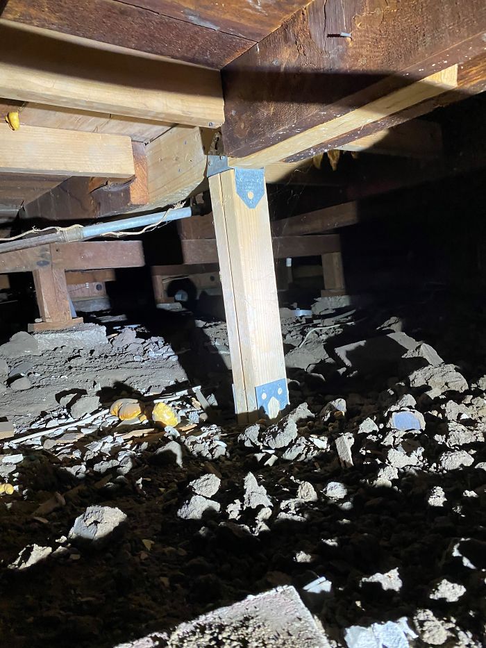 Bizarre-Structural-Inspections