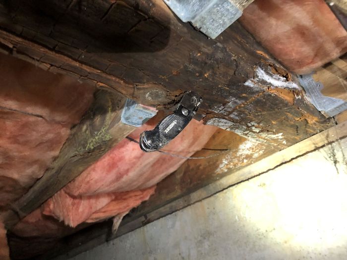 Bizarre-Structural-Inspections