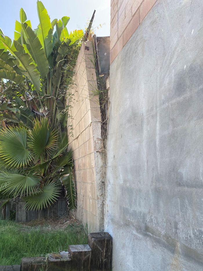 Bizarre-Structural-Inspections