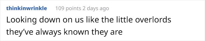 This Shop Owner Installed A Glass Ceiling For His Cats And Now They Won't Stop Staring At Him This Shop Owner Installed A Glass Ceiling For His Cats And Now They Won't Stop Staring At Him