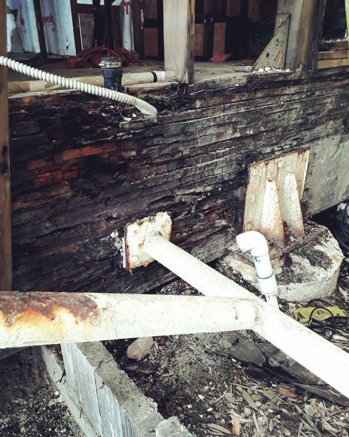 Bizarre-Structural-Inspections