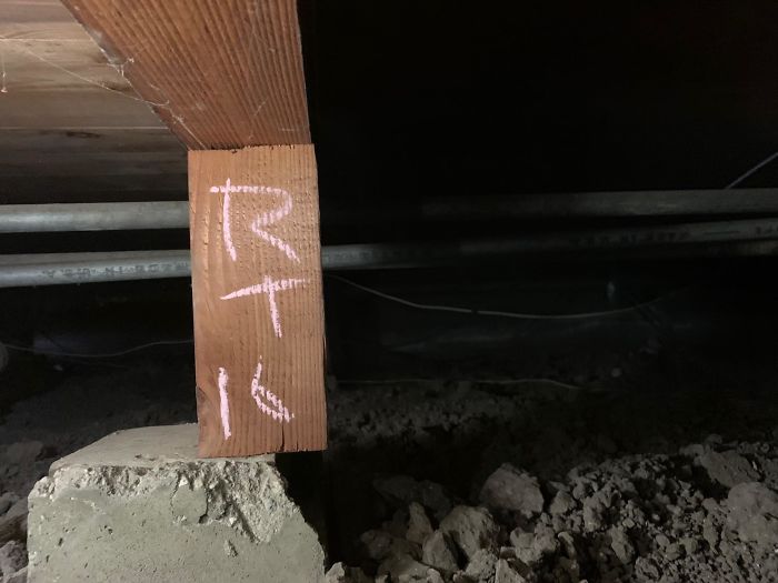 Bizarre-Structural-Inspections