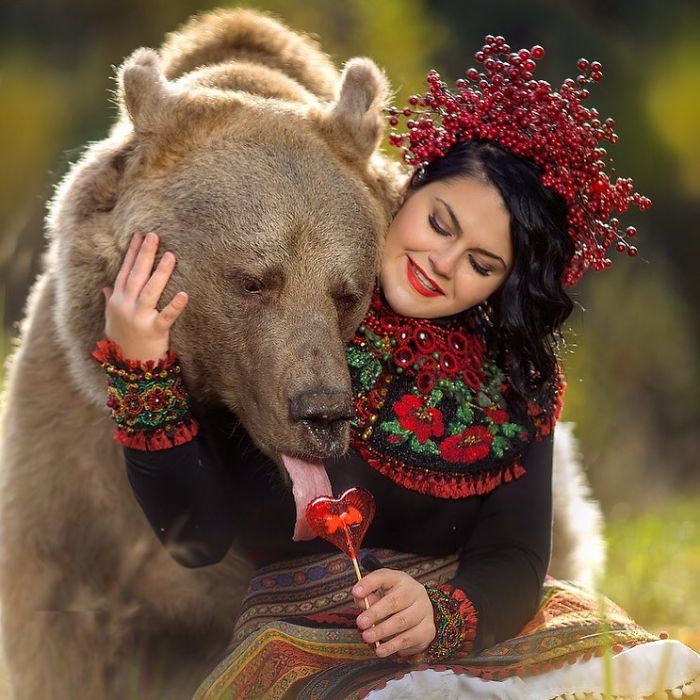 Russian brown bear raised by humans gently licking heart-shaped lollipop held by a woman in traditional attire.