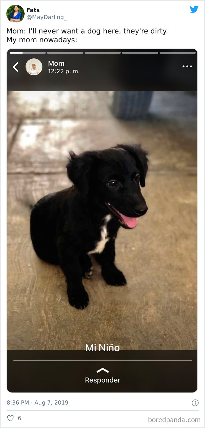 Latina-Moms-Who-Did-Not-Want-A-Dog