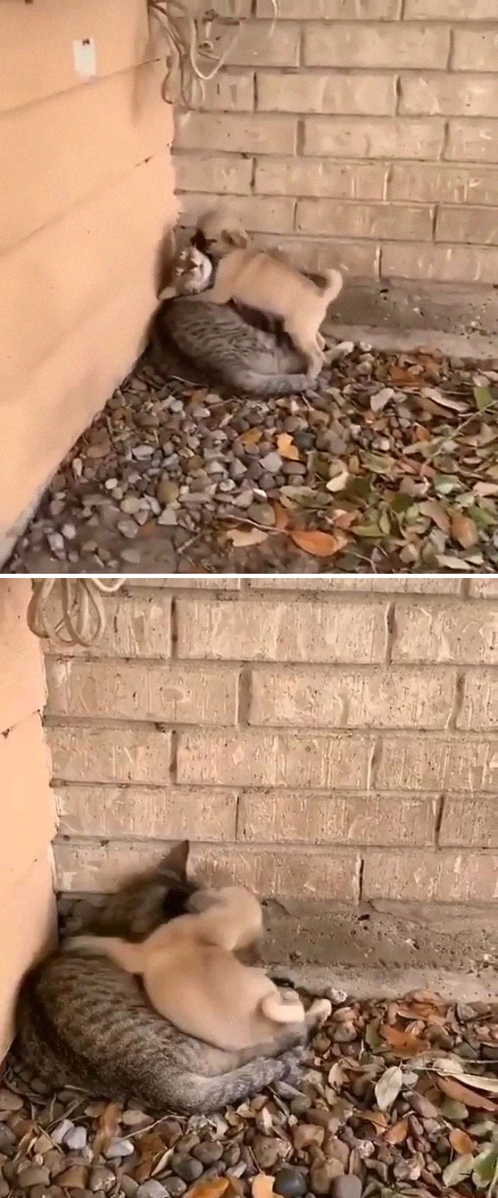 What It's Gonna Look Like When I Finally Meet My Friends