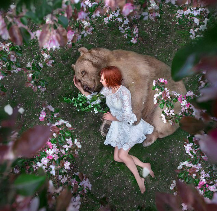 Russian brown bear lying with a woman in a white dress surrounded by pink flowers, showing bond between human and animal.
