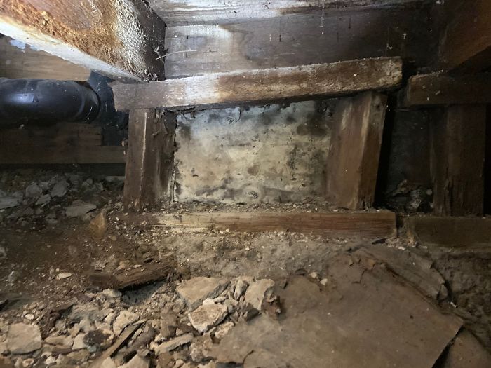 Bizarre-Structural-Inspections