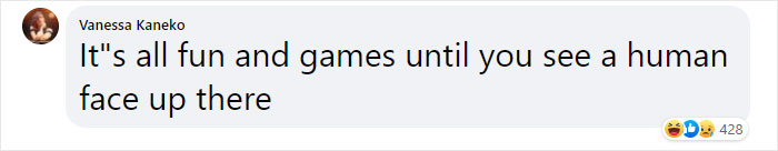 This Shop Owner Installed A Glass Ceiling For His Cats And Now They Won't Stop Staring At Him This Shop Owner Installed A Glass Ceiling For His Cats And Now They Won't Stop Staring At Him