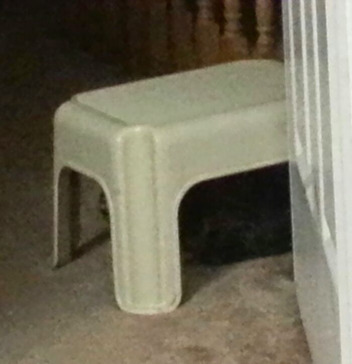 Our Cat, Lola, Likes To Sleep Under Our Step Stools (Even Though She Has A Comfy Bed And A Cat House), And She Enjoys Rolling Down The Stairs All The Time