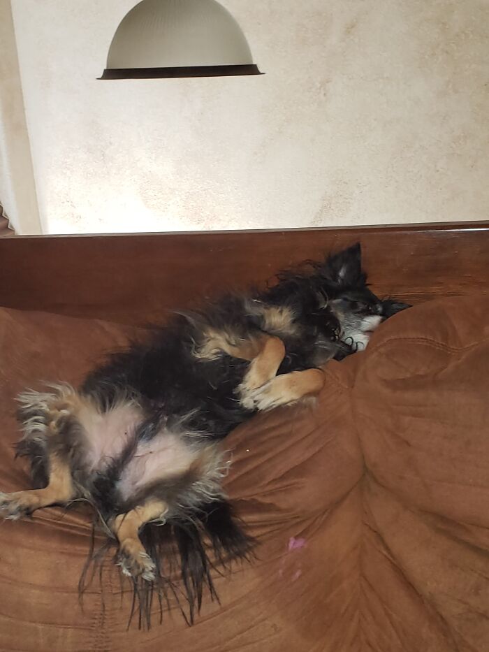 Sleepy Boy Will Fall Asleep Like This And Slowly Slide Down.