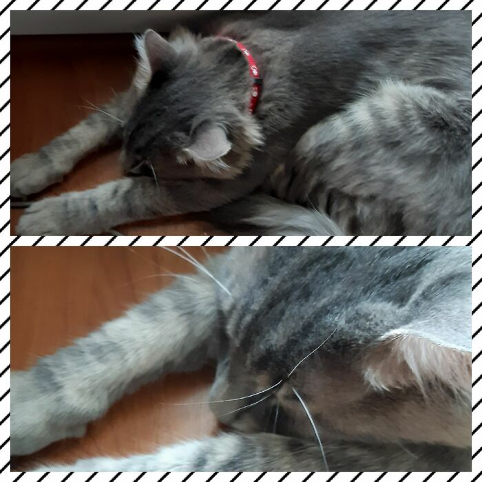 He Always Naps Like "I Am Bored." Haha.