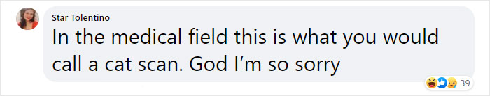 This Shop Owner Installed A Glass Ceiling For His Cats And Now They Won't Stop Staring At Him This Shop Owner Installed A Glass Ceiling For His Cats And Now They Won't Stop Staring At Him