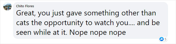 This Shop Owner Installed A Glass Ceiling For His Cats And Now They Won't Stop Staring At Him This Shop Owner Installed A Glass Ceiling For His Cats And Now They Won't Stop Staring At Him