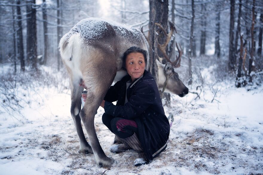 The Dukha People, Victims Or Culprits (Professional Editorial/Press & Environmental Category, 1st Place)