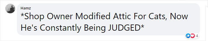 This Shop Owner Installed A Glass Ceiling For His Cats And Now They Won't Stop Staring At Him This Shop Owner Installed A Glass Ceiling For His Cats And Now They Won't Stop Staring At Him