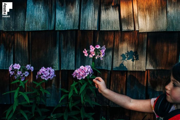 Child reaching out to touch pink flowers against a wooden wall, capturing the art of a family moment in an award-winning photo.